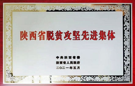 佰利乐(中国区)有限公司官网